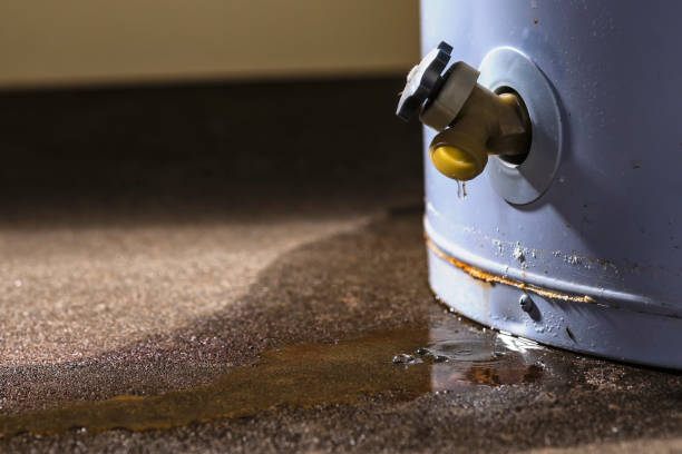 Best Ceiling water damage repair  in Norton Center, MA