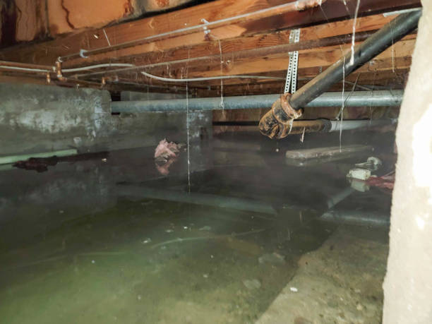 Best Emergency water damage restoration  in Norton Center, MA