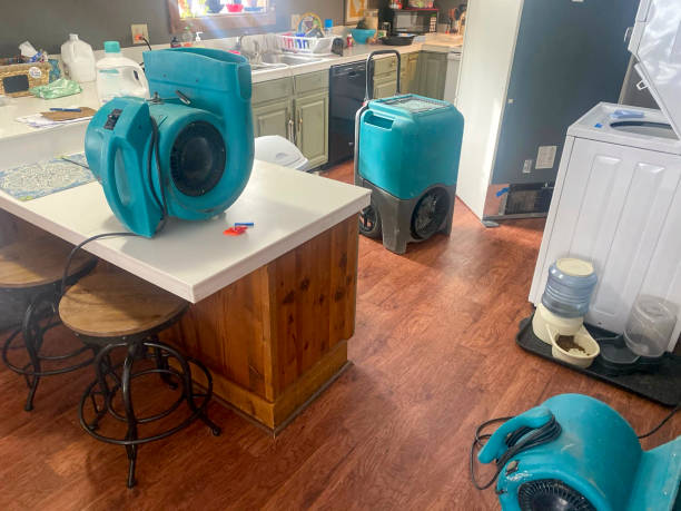  Norton Center, MA Water damage restoration Pros