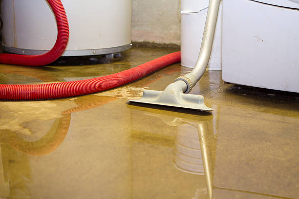 Best Water damage cleanup near me  in Norton Center, MA