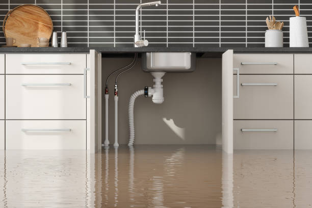 Best Residential water damage restoration  in Norton Center, MA
