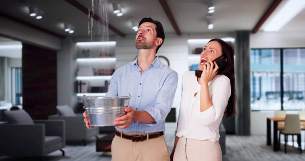 Best Commercial water damage restoration  in Norton Center, MA