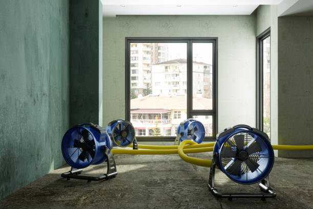 Best Flood restoration services  in Norton Center, MA